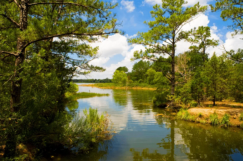 img-card-Bastrop, TX