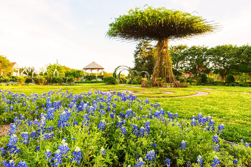 img-card-Brenham, TX